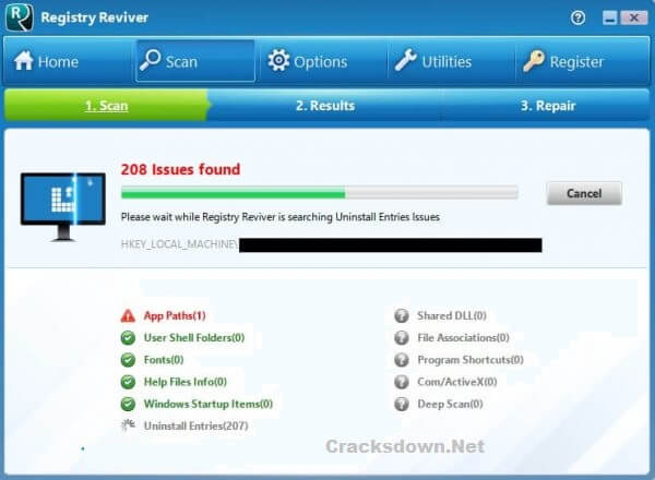 ReviverSoft Registry Reviver Crack v4.22.3.2 + License Key [Latest]