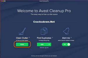 remove avast cleanup license key